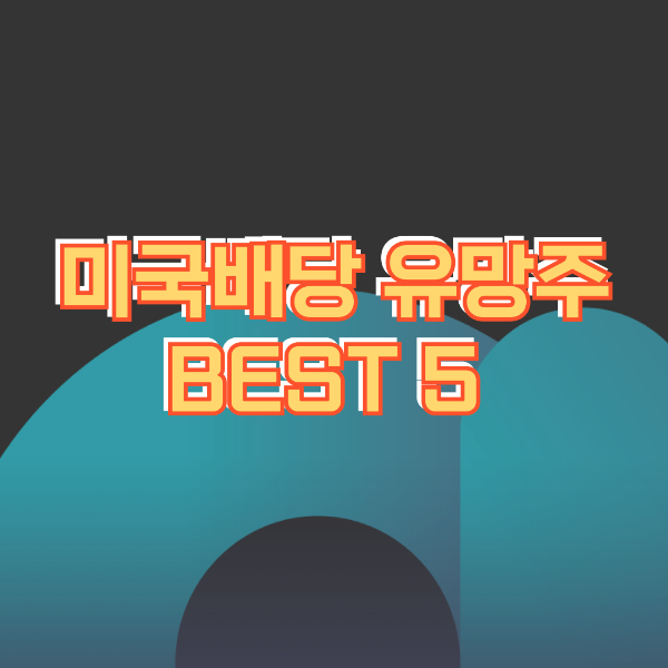 미국 배당 유망주 Best 5