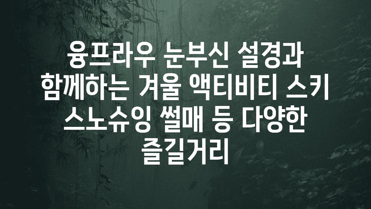 융프라우 눈부신 설경과 함께하는 겨울 액티비티 스키 스노슈잉 썰매 등 다양한 즐길거리