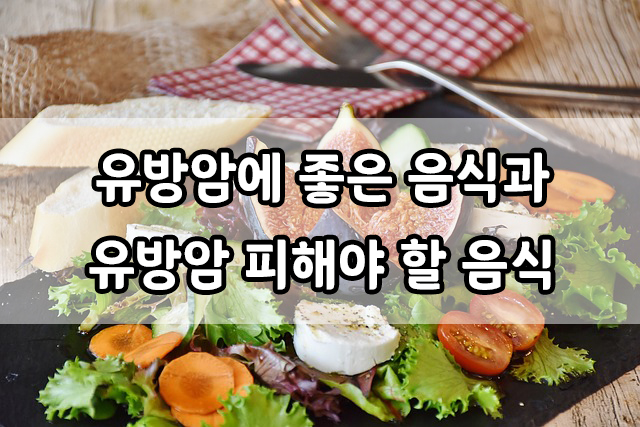  유방암에 좋은 음식과 나쁜 음식