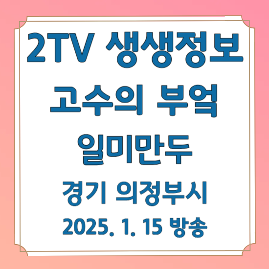 2TV 생생정보 고수의 부엌