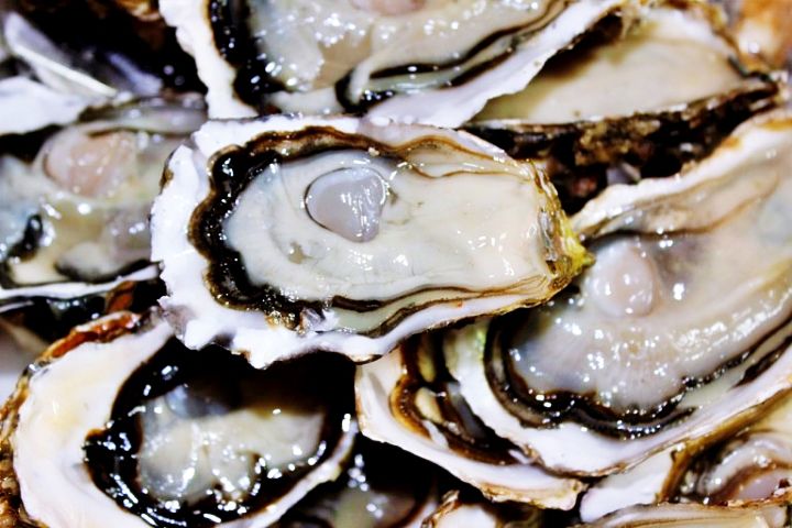  생방송 오늘저녁 경남 사천 남해 앞바다 낙지 굴 전어밤젓 해산물 삼시세끼 맛집 장소 연락처 위치 찾아가는 방법