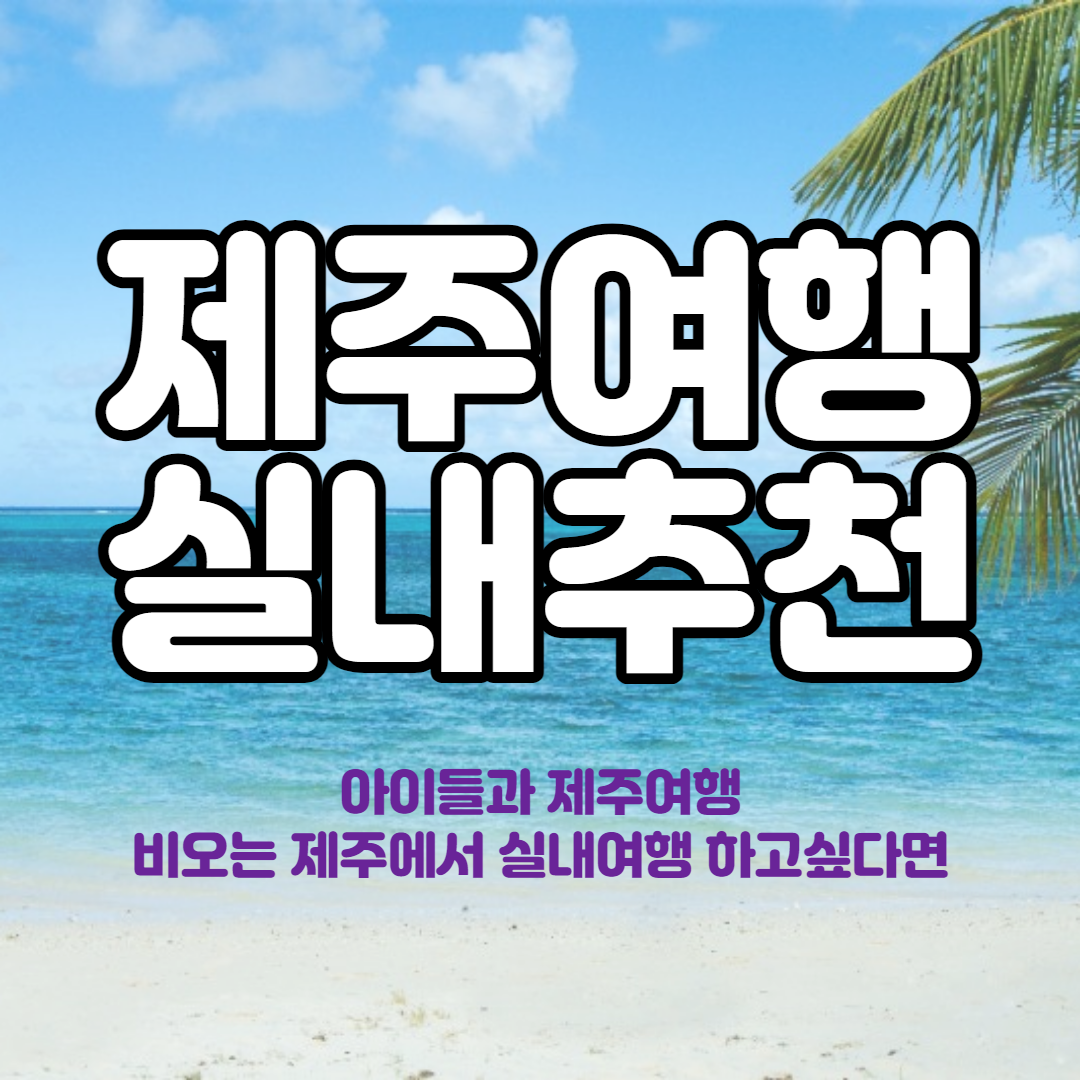  제주도 여행 #1, 제주 실내 가 볼만 한 곳 추천 TOP 3
