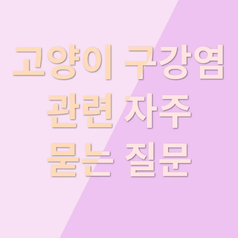고양이 구강염 치료_4