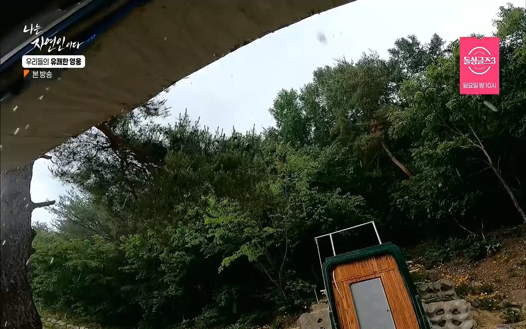 나는 자연인이다.E508.220629p.H264-F1RST.mp4_20220630_203354.665.jpg