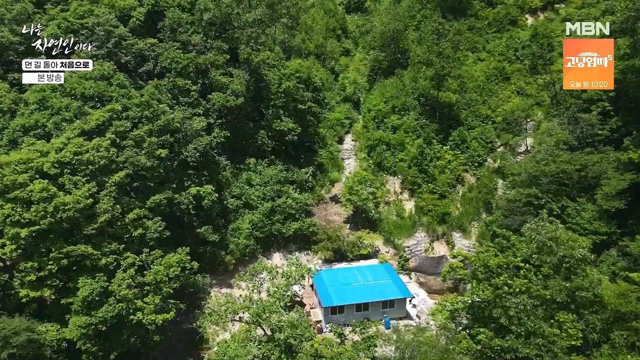 나는 자연인이다.E612.240704p-NEXT.mp4_20240704_195025.781.jpg