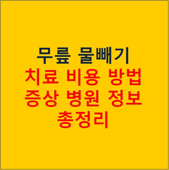 무릎 물빼기 치료 비용 방법 증상 병원 정보 총정리