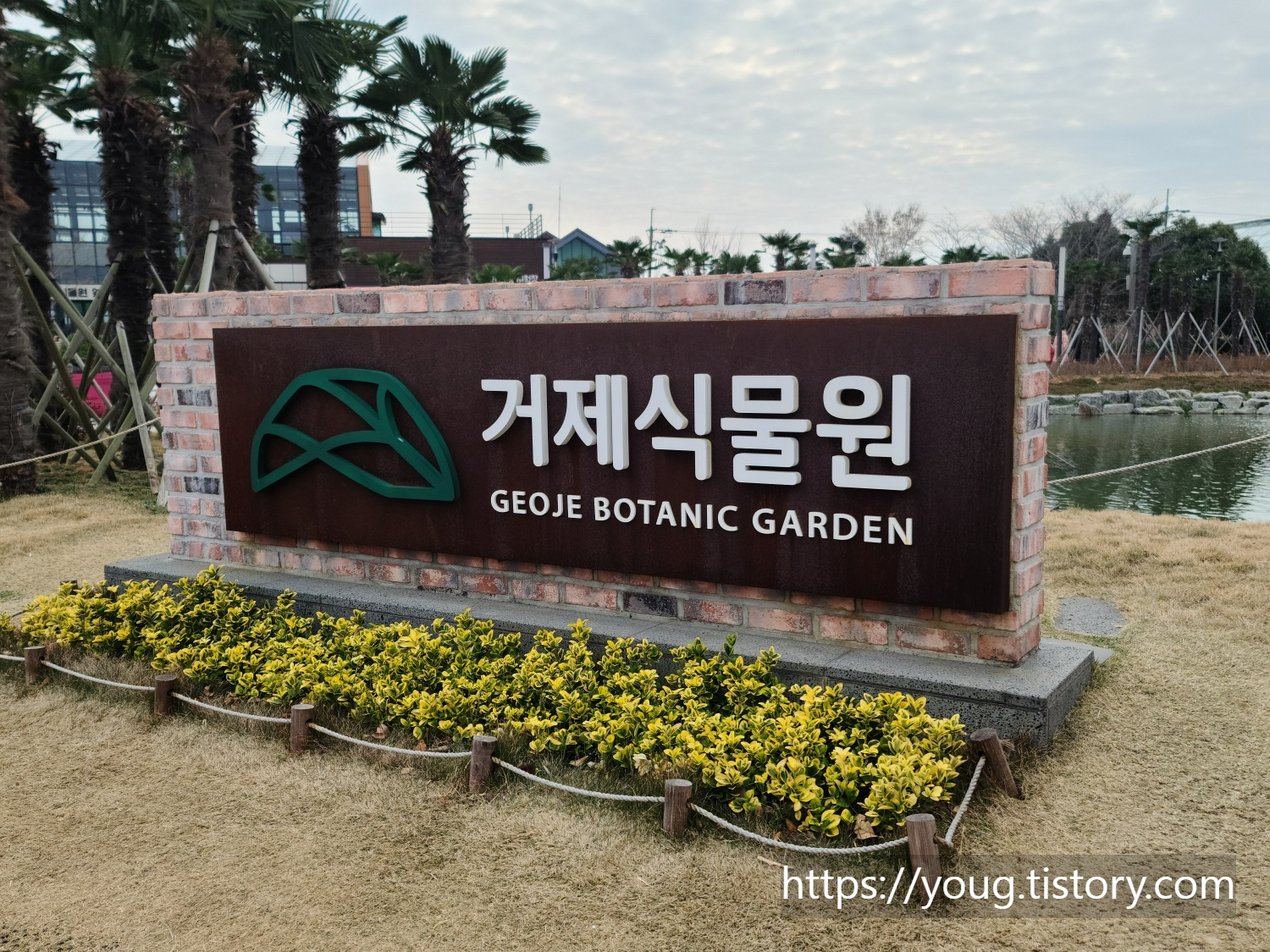  경남 거제시 여행 코스 추천! 실내에서 자연과 함께하는 거제 식물원
