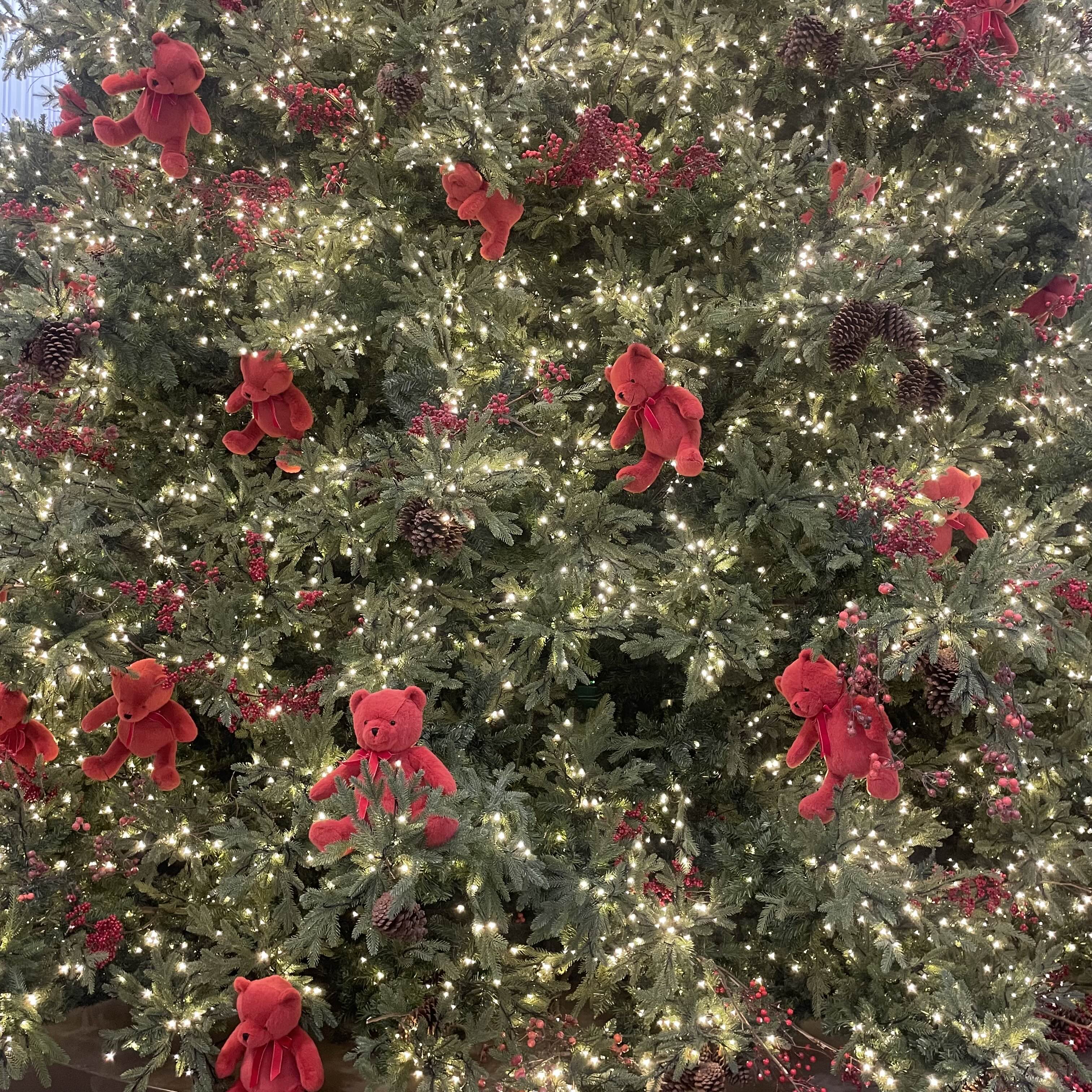  Merry Christmas
