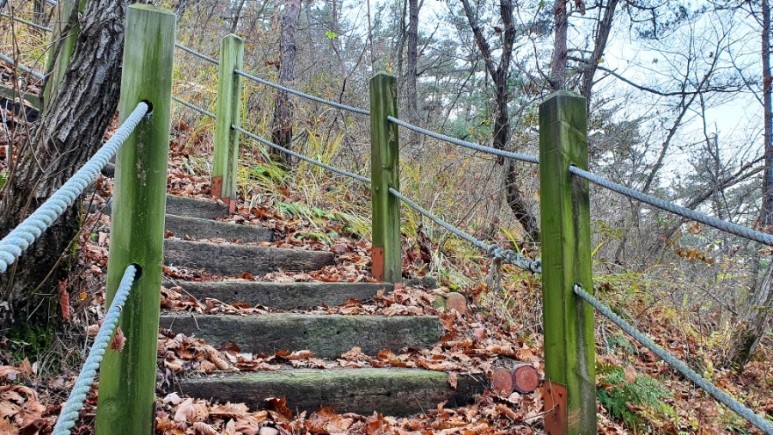 - 수덕사, 명상치유림길과 수암산의 가을 예산으로 볼거리, 단풍여행 10
