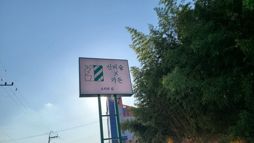 신비가든 이미지