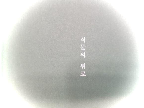  아픈사람 위로글-식물의 위로 책이야기