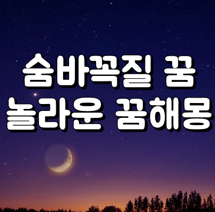  숨바꼭질꿈 해몽 왜 꾸는걸까 ? 꿈에담긴 정확한 의미