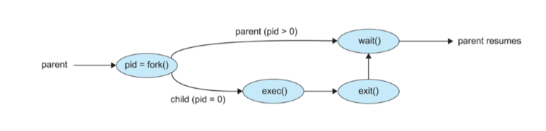  (17) Process Management(Process creation)