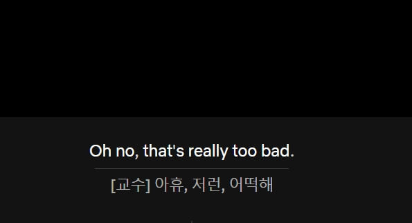 넷플릭스 이중 자막