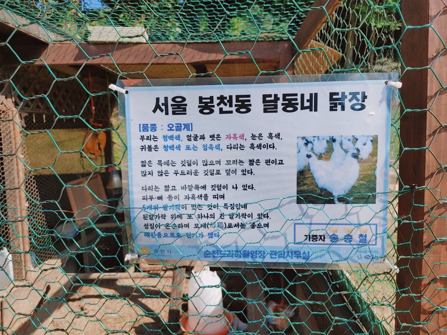 서울 봉천동 달동네 닭장