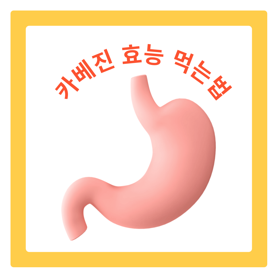  카베진 효능과 먹는법 알아보기