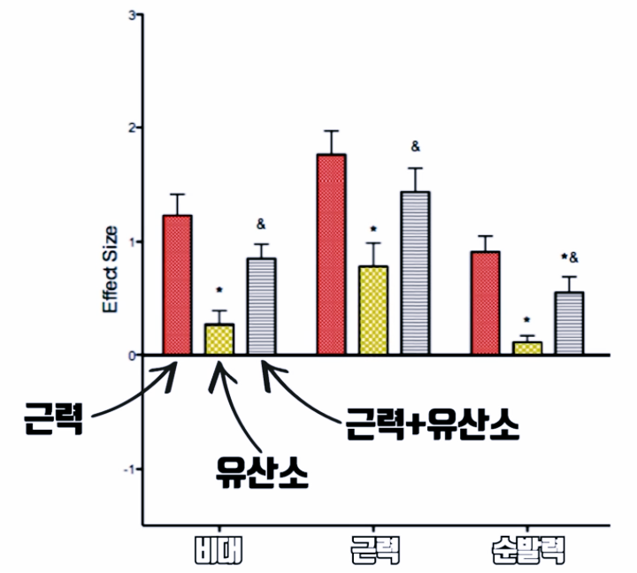 무산소-운동만-한-그룹이-근육성장이-가장-높다는-논문결과