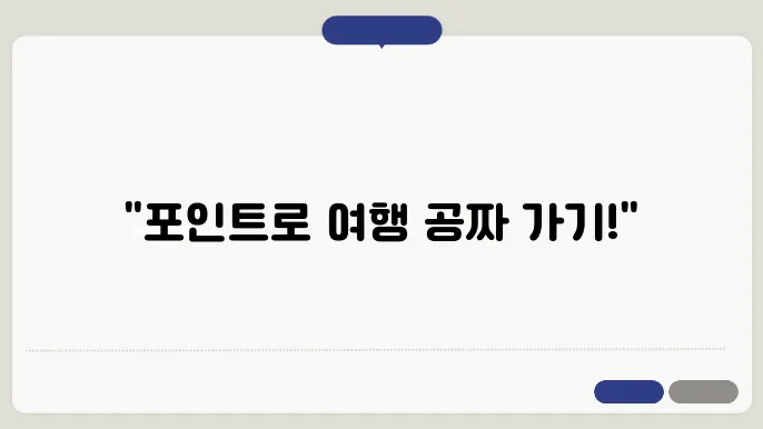 포인트 최대화 비법