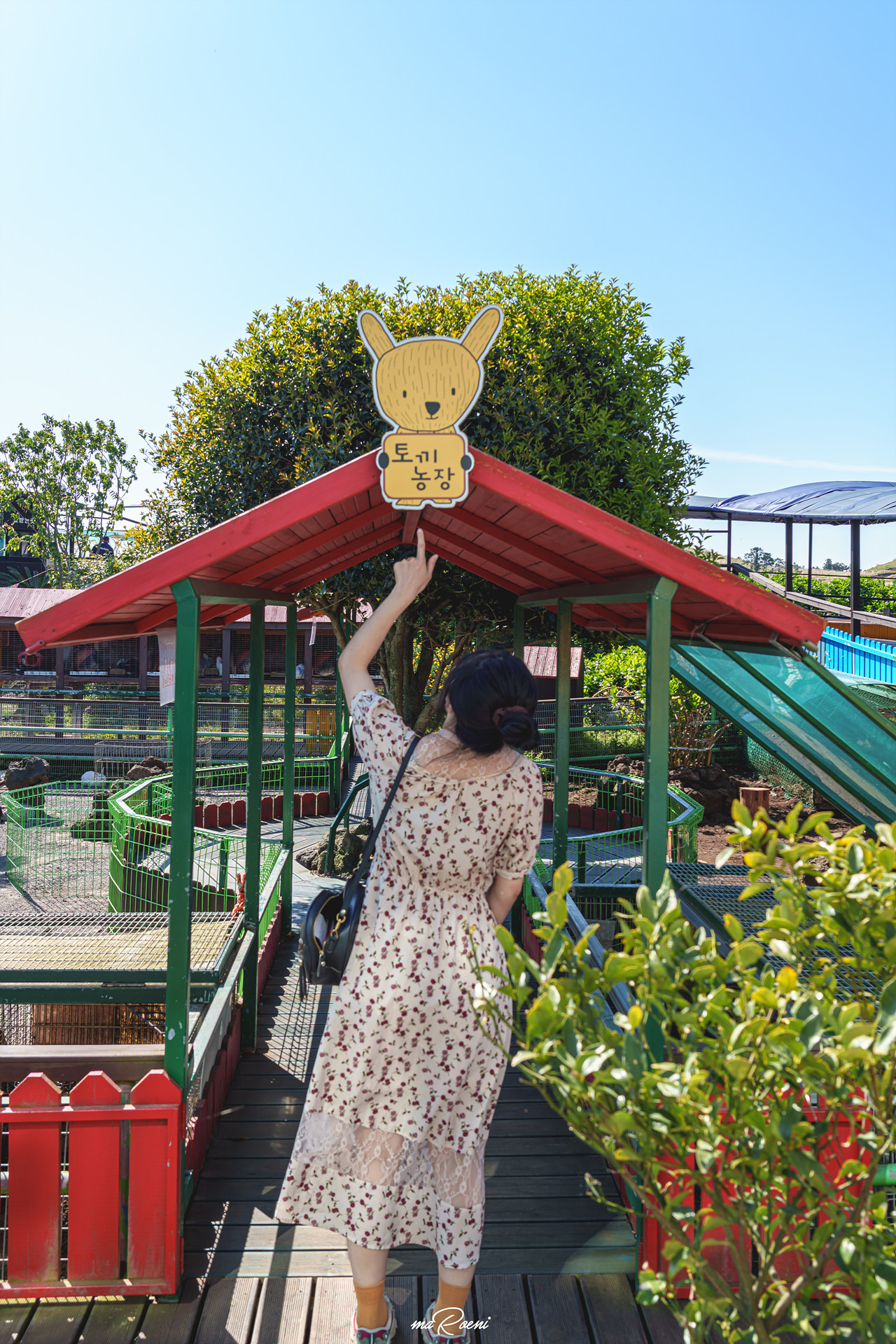 제주 레일바이크