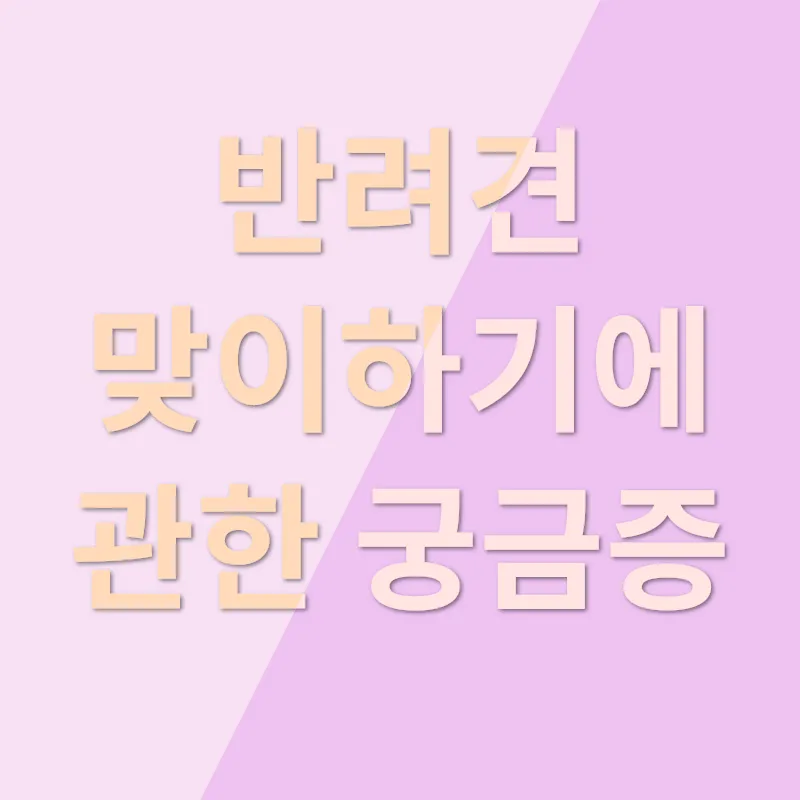 반려견 맞이하기_4