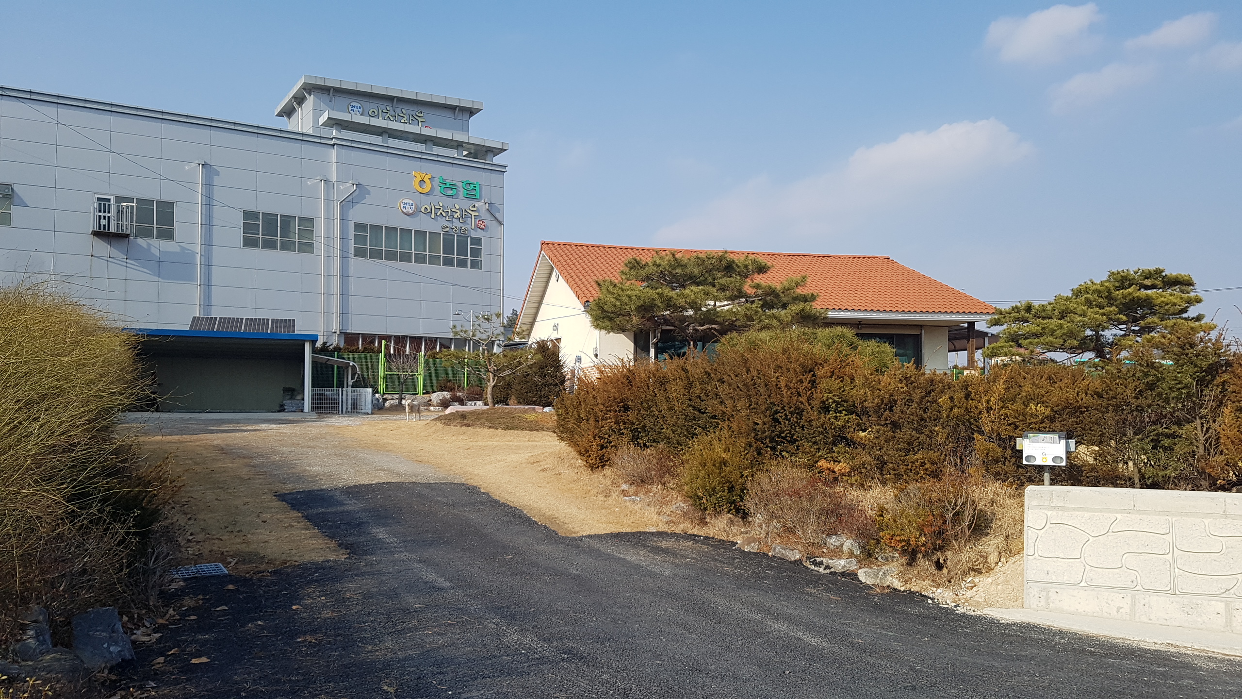 설성농협하나로마트 이미지