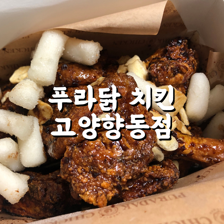 푸라닭고양 이미지