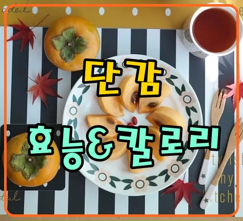  가을 제철과일 단감 효능&칼로리 , 보관법까지 알고 구매하자!