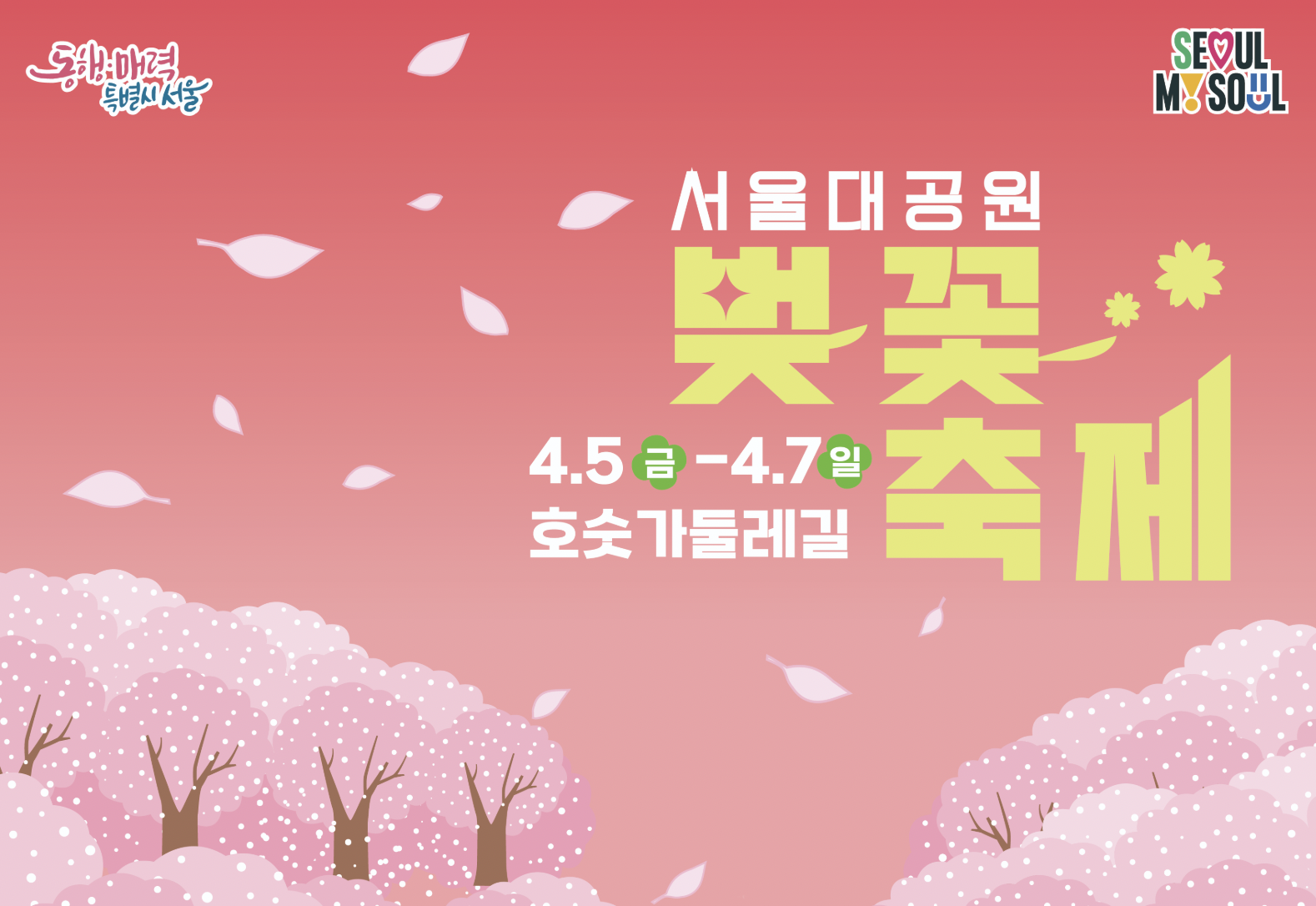 과천시-벚꽃-명소