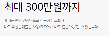 카카오뱅크 비상금 대출 300만원까지