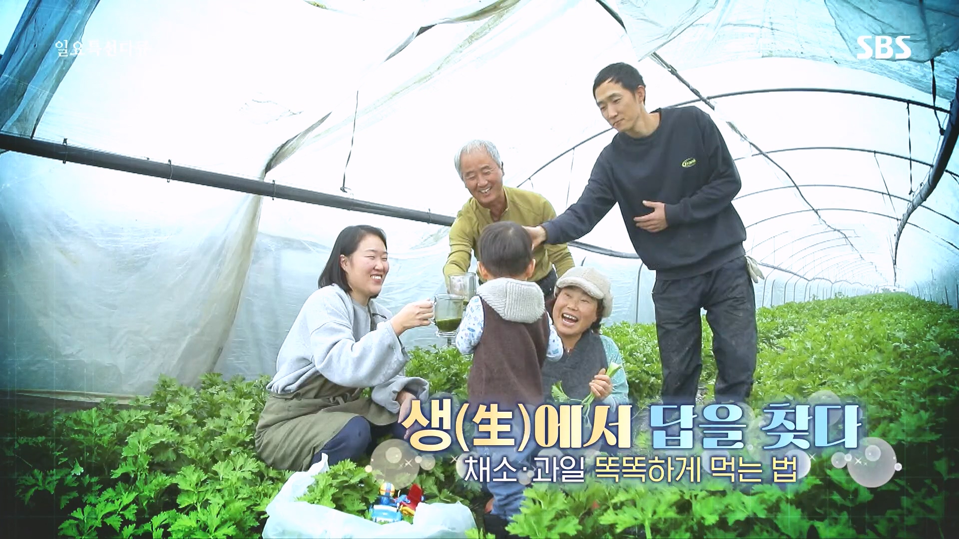 일요 특선 다큐멘터리.E335.240107p.H264-F1RST.mp4_20240108_201905.540.jpg