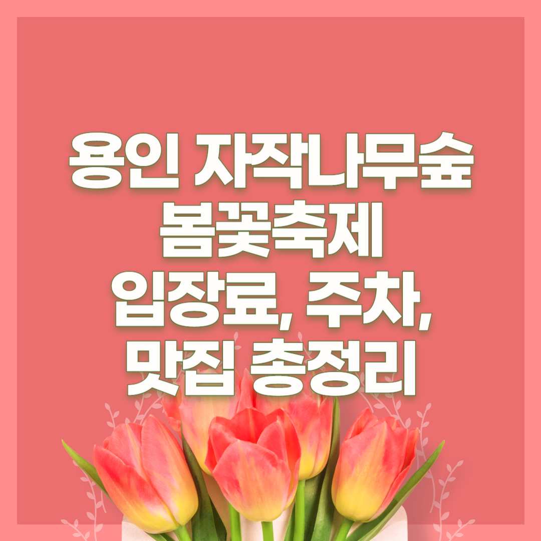용인 자작나무숲 봄꽃축제 2025|입장료, 주차, 맛집 총정리!