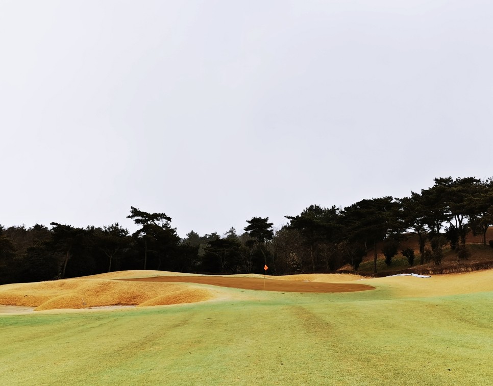 마제스티 1박2일 함평 엘리체CC 53