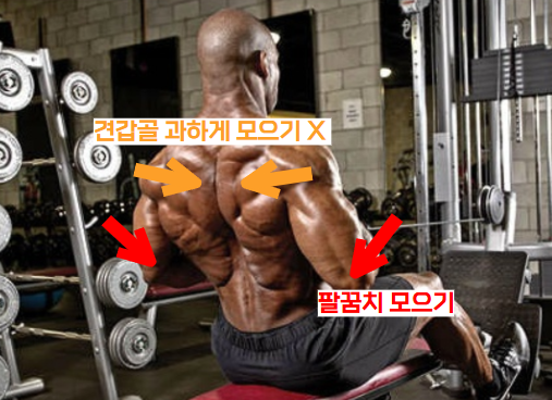 시티드로우(롱풀) 자세 광배근 자극