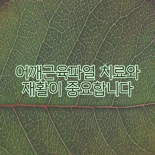 어깨근육파열 치료와 재활이 중요합니다