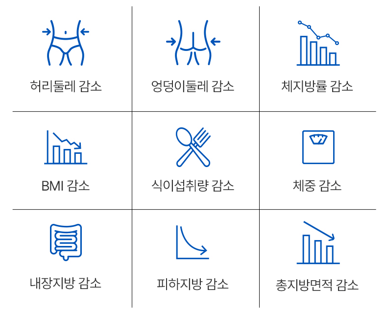 2023 마놀로지 컷 파란통 다이어트 후기!  요약