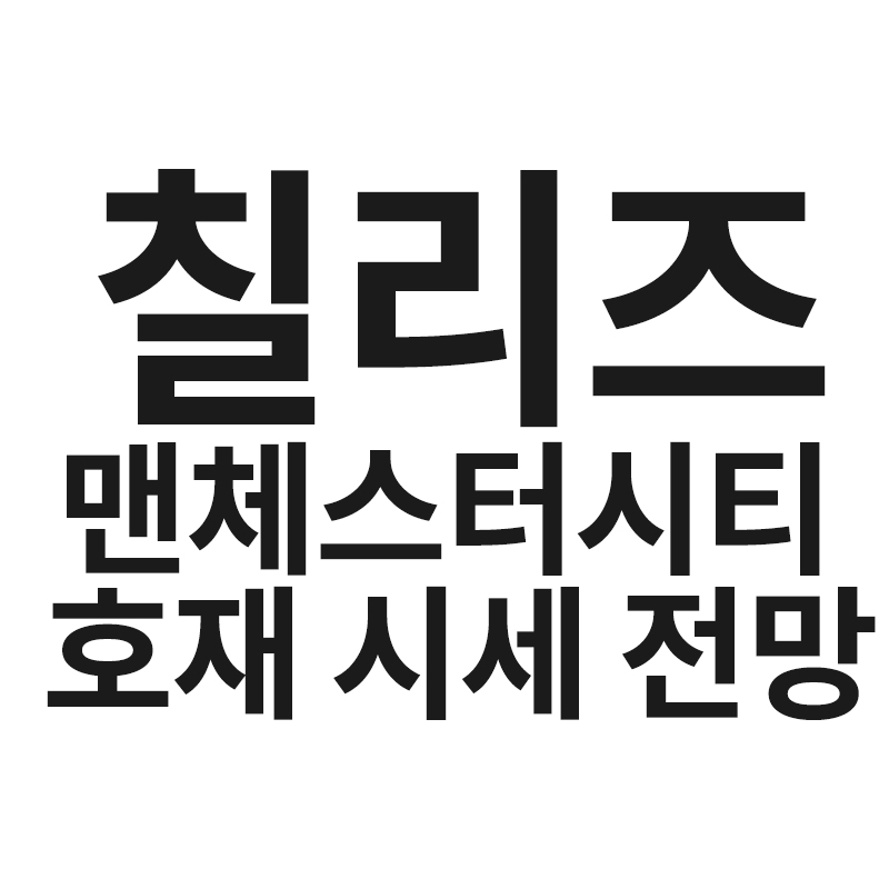  칠리즈 코인 맨체스터시티 호재 시세 전망