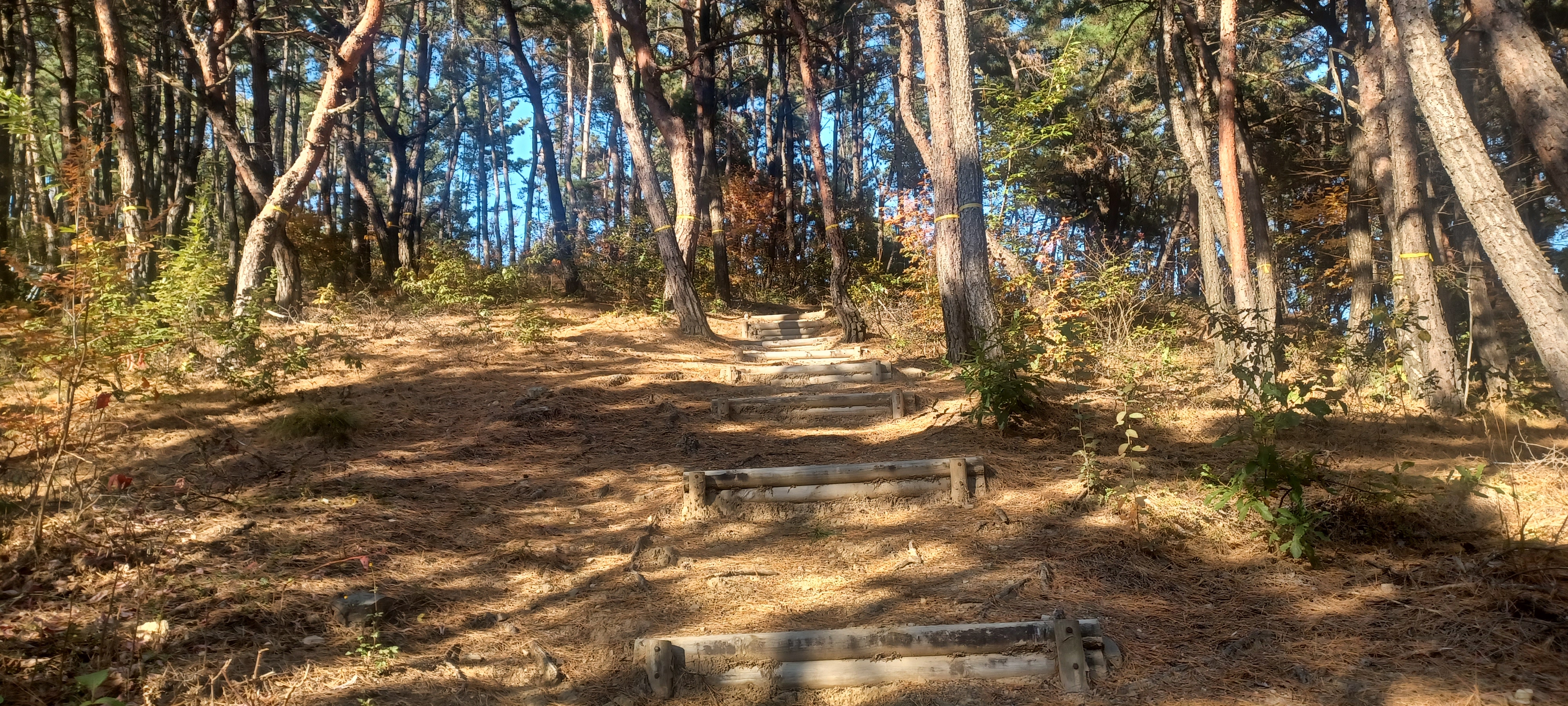 다사공원 이미지