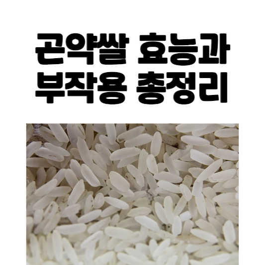 곤약쌀 효능과 부작용