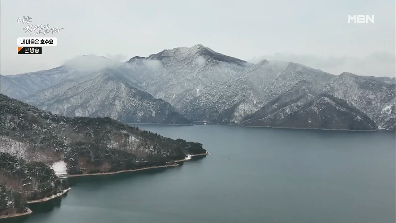 나는 자연인이다.E540.230209p.H264-F1RST.mp4_20230209_203717.602.jpg