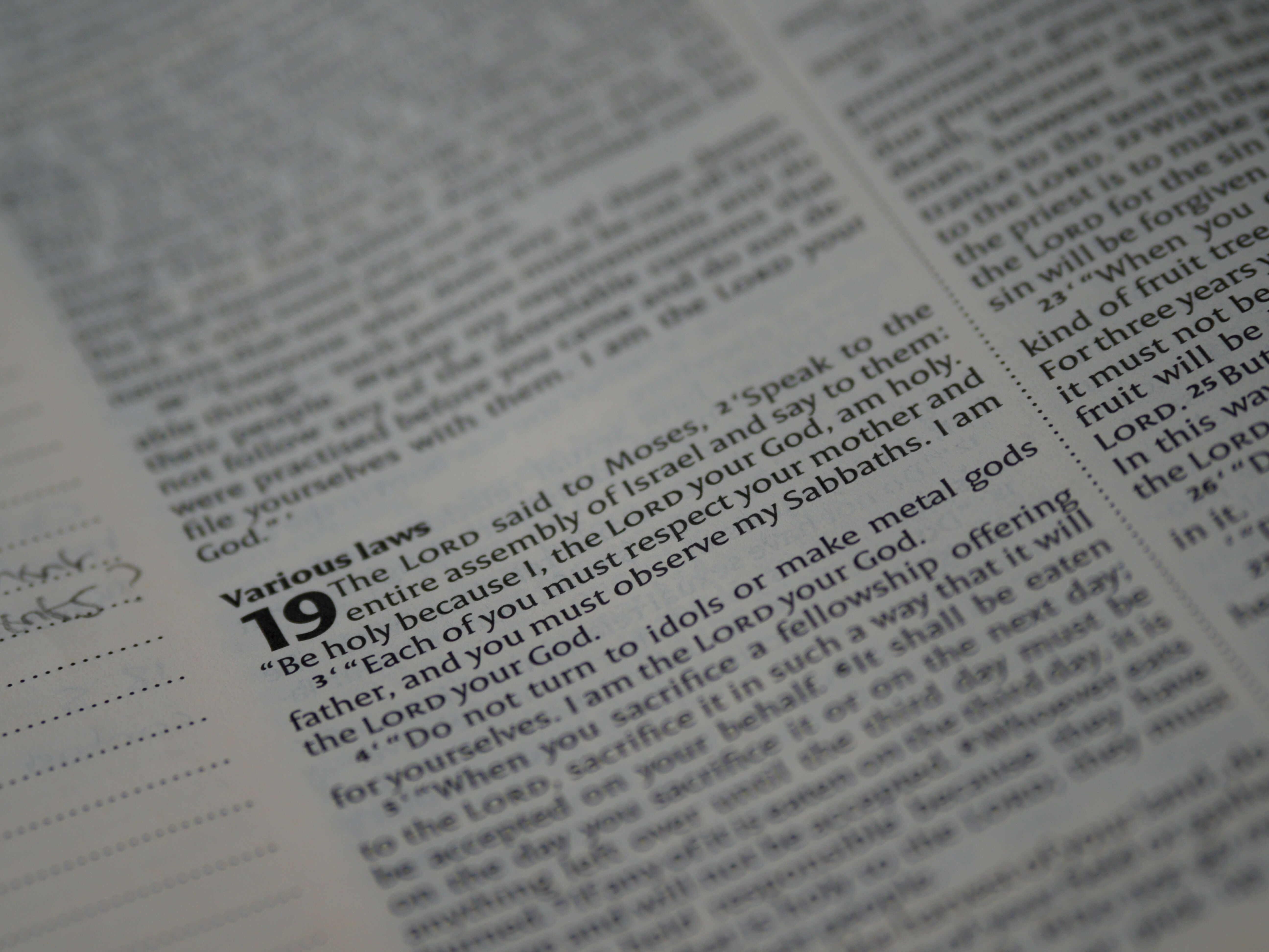  레위기 4장 - Leviticus 4 : 1~35