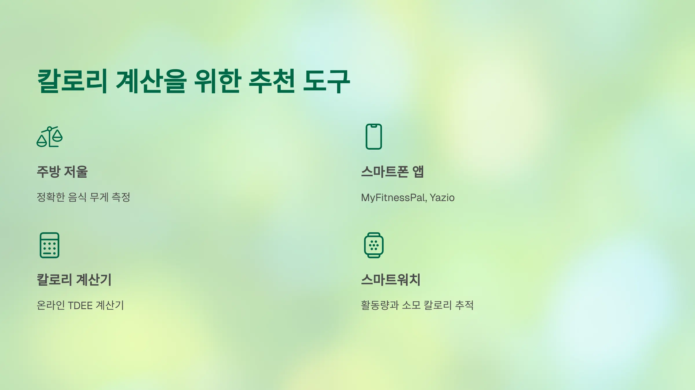 칼로리 계산을 위한 추천 도구
