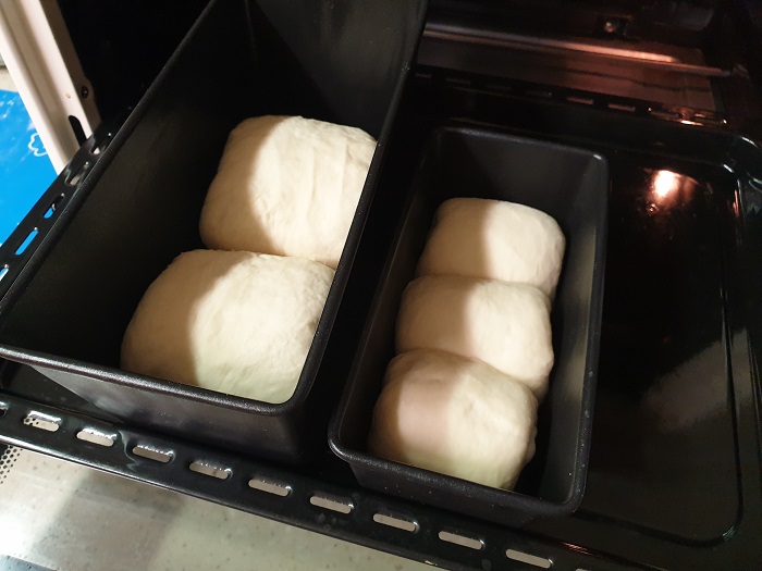 2차발효전 반죽