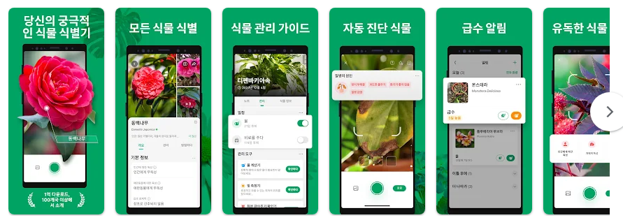 꽃 이름 찾기 어플, 꽃 사진으로 검색, 꽃 이름 찾아보기
