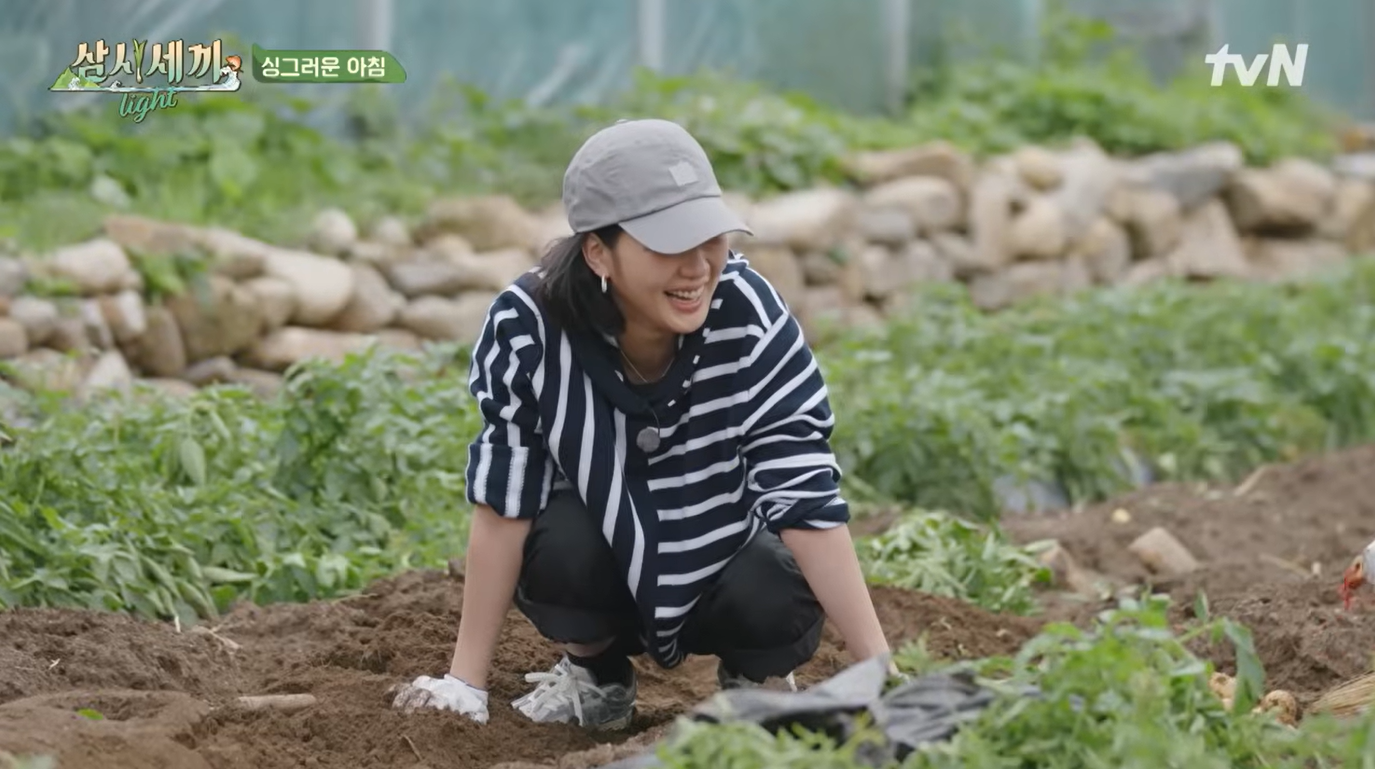 삼시세끼 라이트 4화 이미지