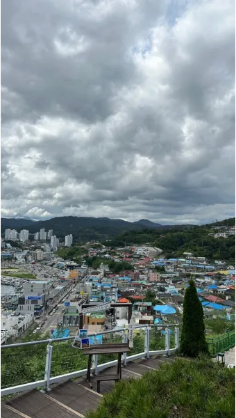 강원도 묵호 여행 묵호항 수산시장 등대 명소_18