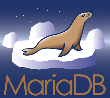 Ubuntu에서 MariaDB ODBC 드라이버 업데이트 하기 썸네일