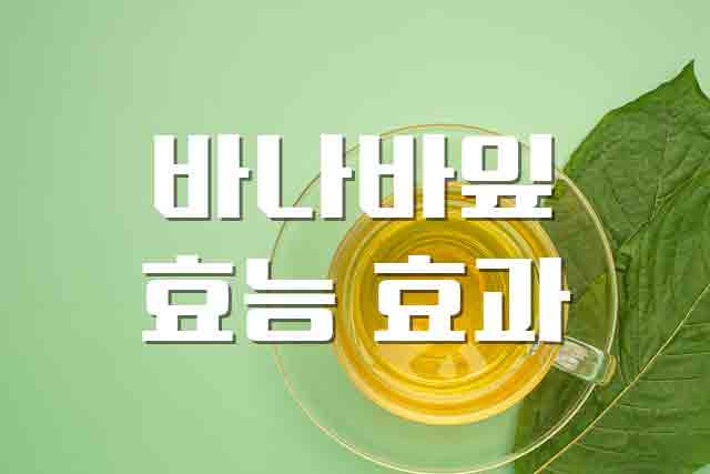  바나바잎, 당뇨 예방에 효과적인 바나바잎 바나바잎 차
