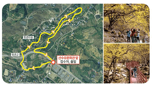 산수유꽃 축제