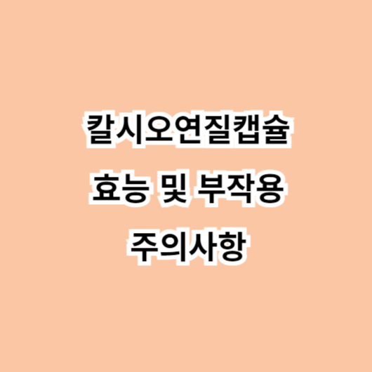 캘시오연질캡슐 효능-부작용, 주의사항