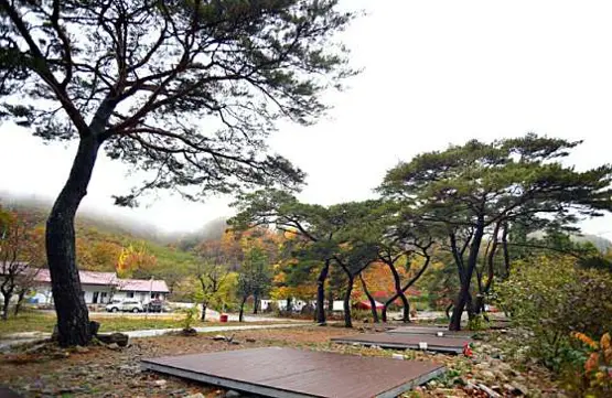 지리산 반내골 카라반캠핑장